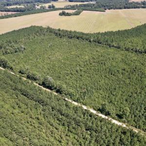 Photo #12 of SOLD property in Off Maxwell Road ,  Stedman, NC 60.0 acres