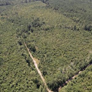 Photo #15 of SOLD property in Off Maxwell Road ,  Stedman, NC 60.0 acres
