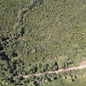 Photo #16 of SOLD property in Off Maxwell Road ,  Stedman, NC 60.0 acres
