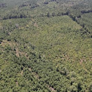 Photo #18 of SOLD property in Off Maxwell Road ,  Stedman, NC 60.0 acres