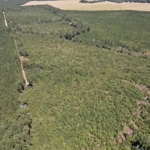 Photo #22 of SOLD property in Off Maxwell Road ,  Stedman, NC 60.0 acres