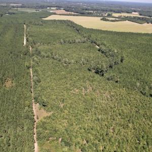 Photo #23 of SOLD property in Off Maxwell Road ,  Stedman, NC 60.0 acres
