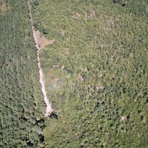 Photo #24 of SOLD property in Off Maxwell Road ,  Stedman, NC 60.0 acres
