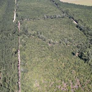 Photo #25 of SOLD property in Off Maxwell Road ,  Stedman, NC 60.0 acres