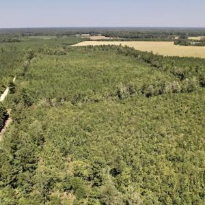 Photo #26 of SOLD property in Off Maxwell Road ,  Stedman, NC 60.0 acres