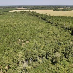 Photo #28 of Off Maxwell Road ,  Stedman, NC 60.0 acres