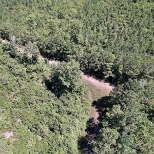 Photo #29 of Off Maxwell Road ,  Stedman, NC 60.0 acres