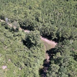 Photo #29 of SOLD property in Off Maxwell Road ,  Stedman, NC 60.0 acres