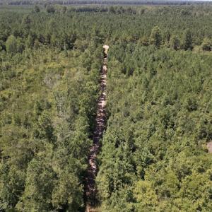 Photo #30 of SOLD property in Off Maxwell Road ,  Stedman, NC 60.0 acres