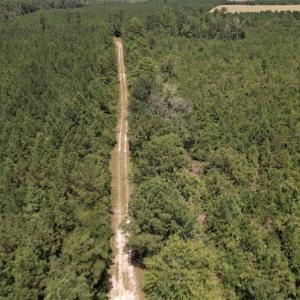 Photo #32 of SOLD property in Off Maxwell Road ,  Stedman, NC 60.0 acres