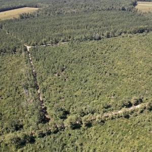 Photo #7 of SOLD property in Off Maxwell Road ,  Stedman, NC 60.0 acres