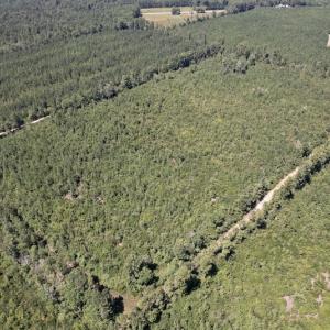 Photo #8 of SOLD property in Off Maxwell Road ,  Stedman, NC 60.0 acres