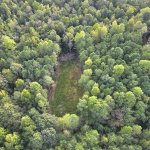 Photo #10 of SOLD property in Off Macedonia Road, Smithfield, NC 10.8 acres