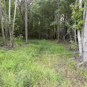 Photo #13 of SOLD property in Off Macedonia Road, Smithfield, NC 10.8 acres