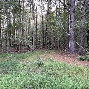 Photo #14 of SOLD property in Off Macedonia Road, Smithfield, NC 10.8 acres