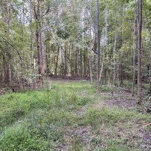 Photo #15 of SOLD property in Off Macedonia Road, Smithfield, NC 10.8 acres