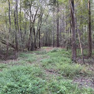 Photo #16 of SOLD property in Off Macedonia Road, Smithfield, NC 10.8 acres