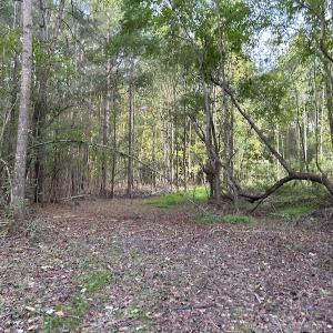 Photo #17 of SOLD property in Off Macedonia Road, Smithfield, NC 10.8 acres