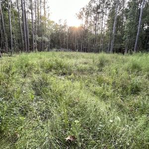 Photo #19 of SOLD property in Off Macedonia Road, Smithfield, NC 10.8 acres