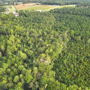 Photo #4 of SOLD property in Off Macedonia Road, Smithfield, NC 10.8 acres