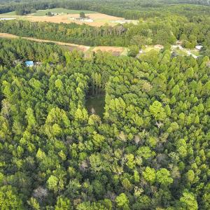 Photo #6 of SOLD property in Off Macedonia Road, Smithfield, NC 10.8 acres