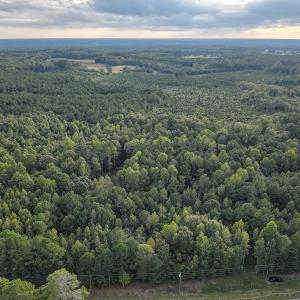 Photo #8 of SOLD property in Off Macedonia Road, Smithfield, NC 10.8 acres