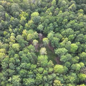 Photo #9 of SOLD property in Off Macedonia Road, Smithfield, NC 10.8 acres