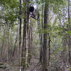Photo #23 of SOLD property in Off Macedonia Road, Smithfield, NC 10.8 acres