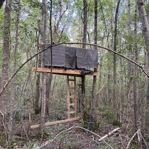 Photo #24 of SOLD property in Off Macedonia Road, Smithfield, NC 10.8 acres