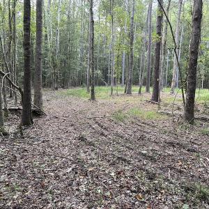 Photo #25 of SOLD property in Off Macedonia Road, Smithfield, NC 10.8 acres