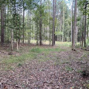 Photo #26 of SOLD property in Off Macedonia Road, Smithfield, NC 10.8 acres