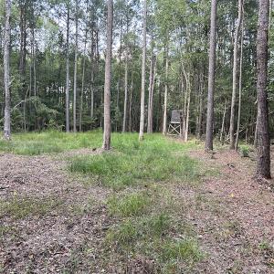 Photo #27 of SOLD property in Off Macedonia Road, Smithfield, NC 10.8 acres