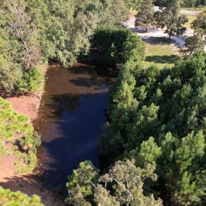 Photo #13 of SOLD property in 1133 Rockfish Drive, Manning, SC 1.5 acres