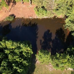 Photo #14 of SOLD property in 1133 Rockfish Drive, Manning, SC 1.5 acres