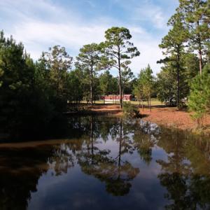 Photo #17 of SOLD property in 1133 Rockfish Drive, Manning, SC 1.5 acres
