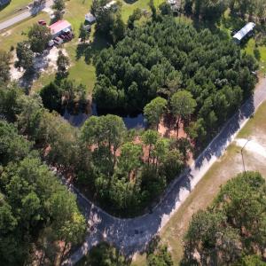 Photo #3 of SOLD property in 1133 Rockfish Drive, Manning, SC 1.5 acres
