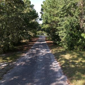 Photo #20 of SOLD property in 1133 Rockfish Drive, Manning, SC 1.5 acres