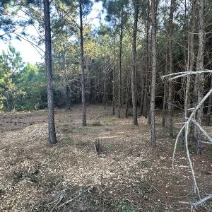 Photo #21 of SOLD property in 1133 Rockfish Drive, Manning, SC 1.5 acres