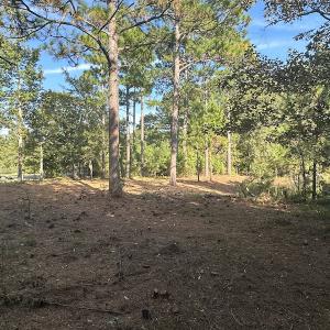 Photo #24 of SOLD property in 1133 Rockfish Drive, Manning, SC 1.5 acres