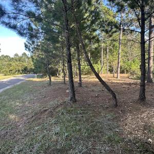 Photo #25 of SOLD property in 1133 Rockfish Drive, Manning, SC 1.5 acres