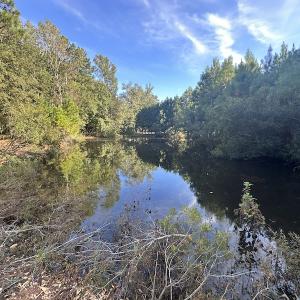 Photo #26 of SOLD property in 1133 Rockfish Drive, Manning, SC 1.5 acres