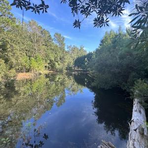 Photo #27 of SOLD property in 1133 Rockfish Drive, Manning, SC 1.5 acres