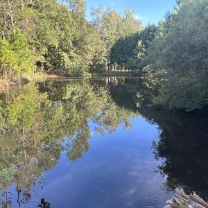 Photo #29 of SOLD property in 1133 Rockfish Drive, Manning, SC 1.5 acres