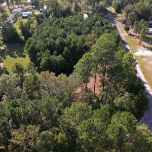 Photo #4 of SOLD property in 1133 Rockfish Drive, Manning, SC 1.5 acres