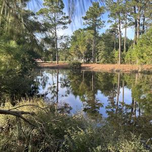 Photo #30 of SOLD property in 1133 Rockfish Drive, Manning, SC 1.5 acres