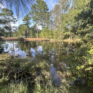Photo #31 of SOLD property in 1133 Rockfish Drive, Manning, SC 1.5 acres