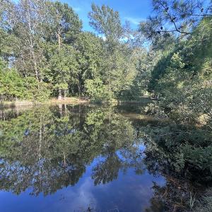 Photo #32 of SOLD property in 1133 Rockfish Drive, Manning, SC 1.5 acres