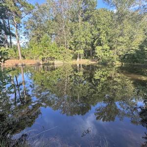 Photo #33 of SOLD property in 1133 Rockfish Drive, Manning, SC 1.5 acres