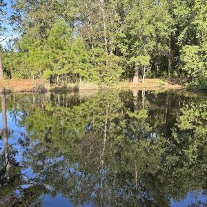 Photo #34 of SOLD property in 1133 Rockfish Drive, Manning, SC 1.5 acres