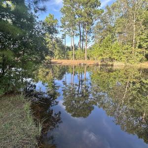 Photo #35 of SOLD property in 1133 Rockfish Drive, Manning, SC 1.5 acres